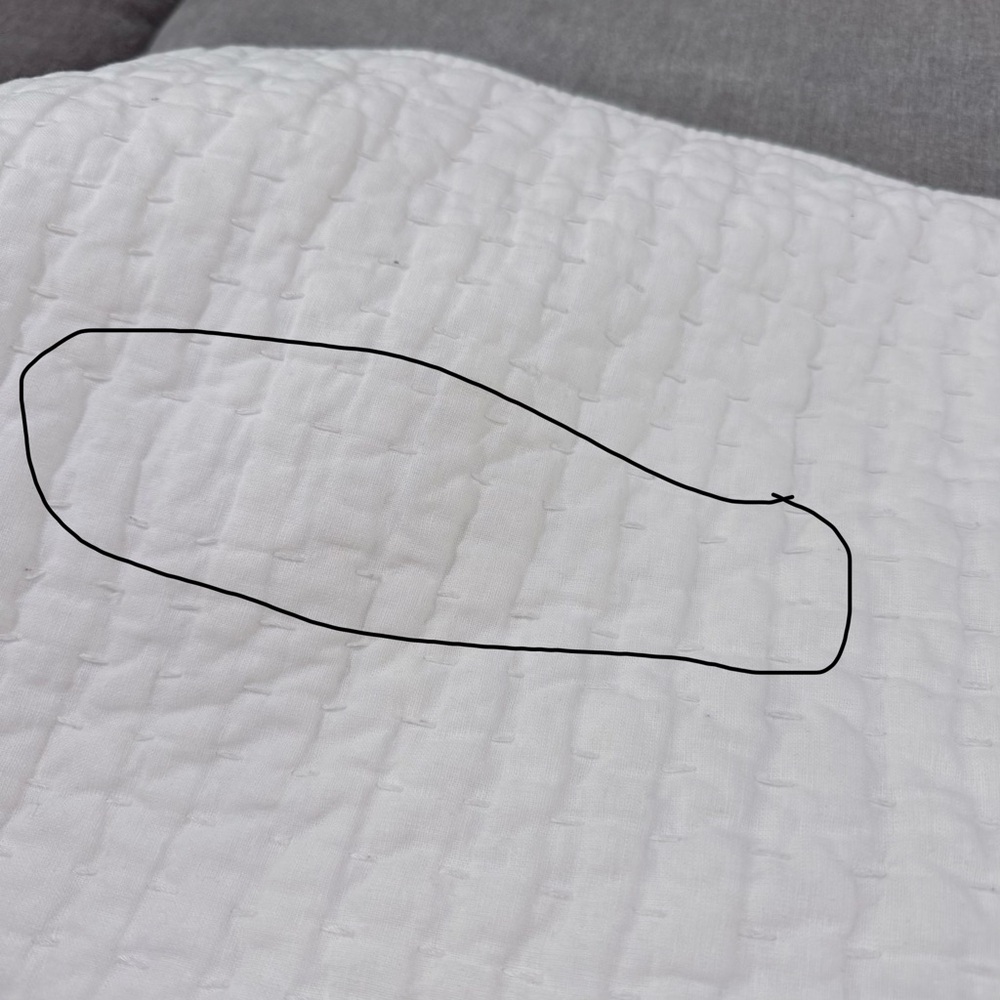 Pottery Barn King Shams - Picture 5 of 11